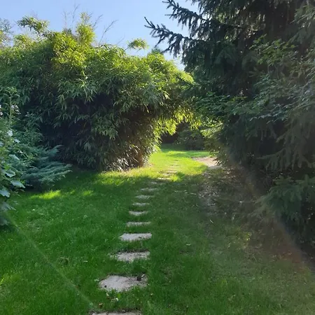 Le Au Bord De La Foret