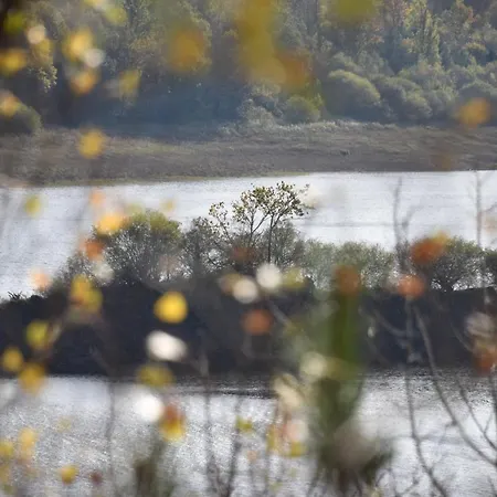 Le Au Bord De La Foret