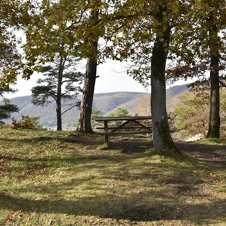 Le Au Bord De La Foret