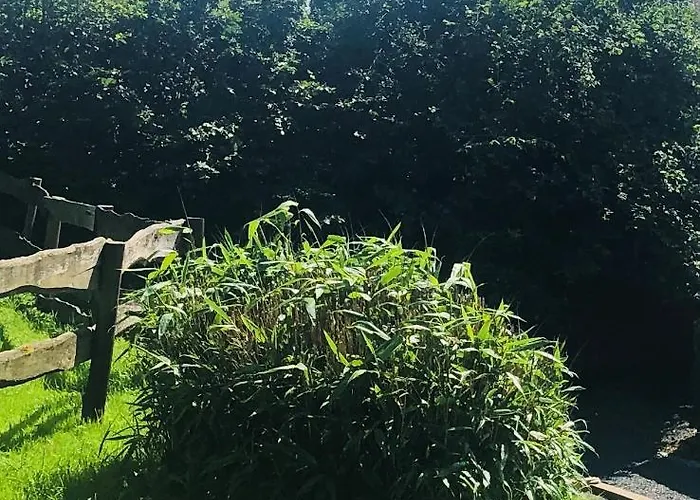 Holiday home Le Au Bord De La Foret *