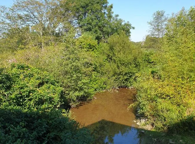Le Au Bord De La Foret *