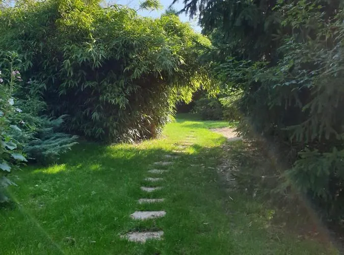 Le Au Bord De La Foret