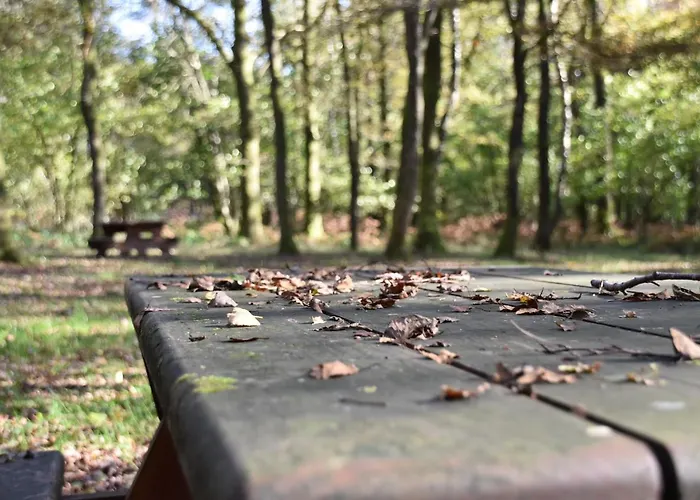 Le Au Bord De La Foret Holiday home Montherme